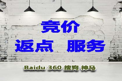 百度竞价推广代运营经典案例分析