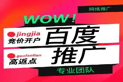 百度推广平台案例剖析：揭秘广告投放策略
